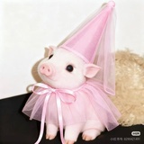 正泰之子李河民