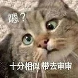 悲仔