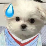 你要吃花卷吗