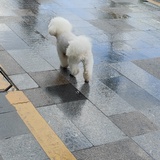 。
