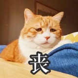 泡面天才