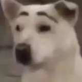 停滞不前
