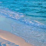 浅浅