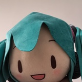 一只拖鞋