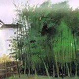 等待等待等待