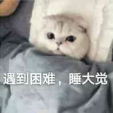 奇偶韭
