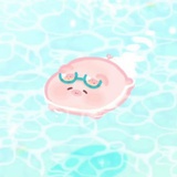 毛毛也越来越好