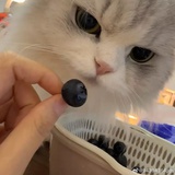 z.y.