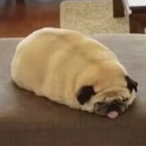 橡皮擦