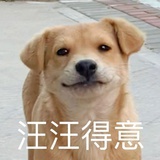 女明星