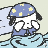 小狗的命也是命