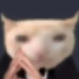 吸血鬼企鹅