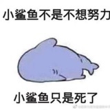 啵啵啵哒哒哒