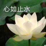 倔强的自行车