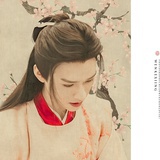 花间照