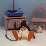 pingu🐧