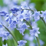 花园城堡