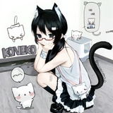 小猫牢笛