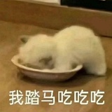 磕死我了