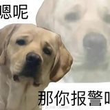 杨幂（内娱最美