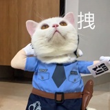 游客