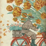 明芳