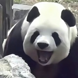 小名叫“爹”