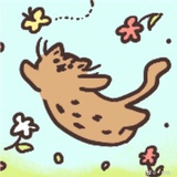 貓茸茸