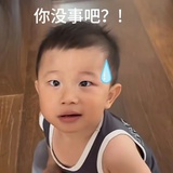 鹅崽