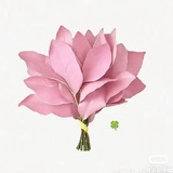 MRxxx로