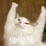 空调开25°