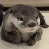 不要生气