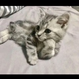 在玩儿