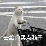 北风吹