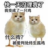 真拿我没办法