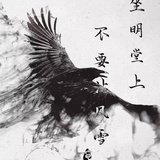 噶？