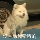 兮鱼