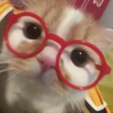 momo
