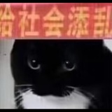 只是凑字数