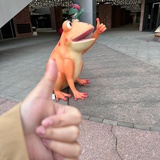 找呀找呀找房子