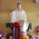 豆友245888272