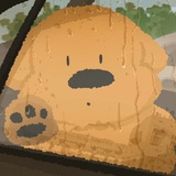 吃着看看
