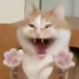 黄色三角块