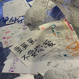 乌柏叶滇水