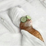 Joan Cat