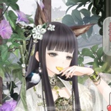 长篇叙事诗