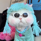 小瓶子