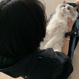 肉肉