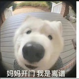 无名剑客