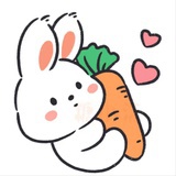 🍊🍊🍊